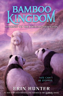 Image for "Bamboo Kingdom #3: Journey to the Dragon Mountain"