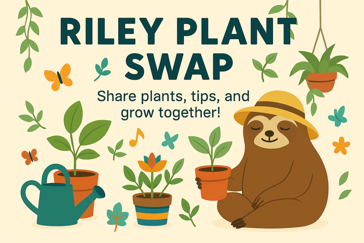 plants, watering can, sloth