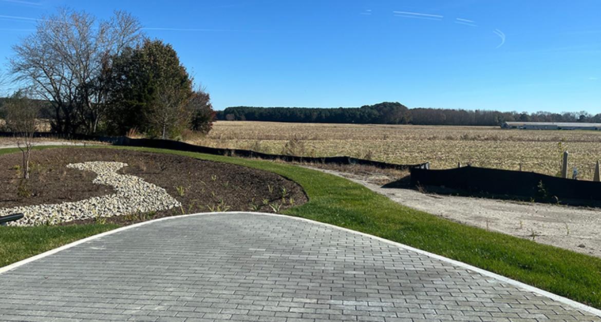 Riley Library Out back